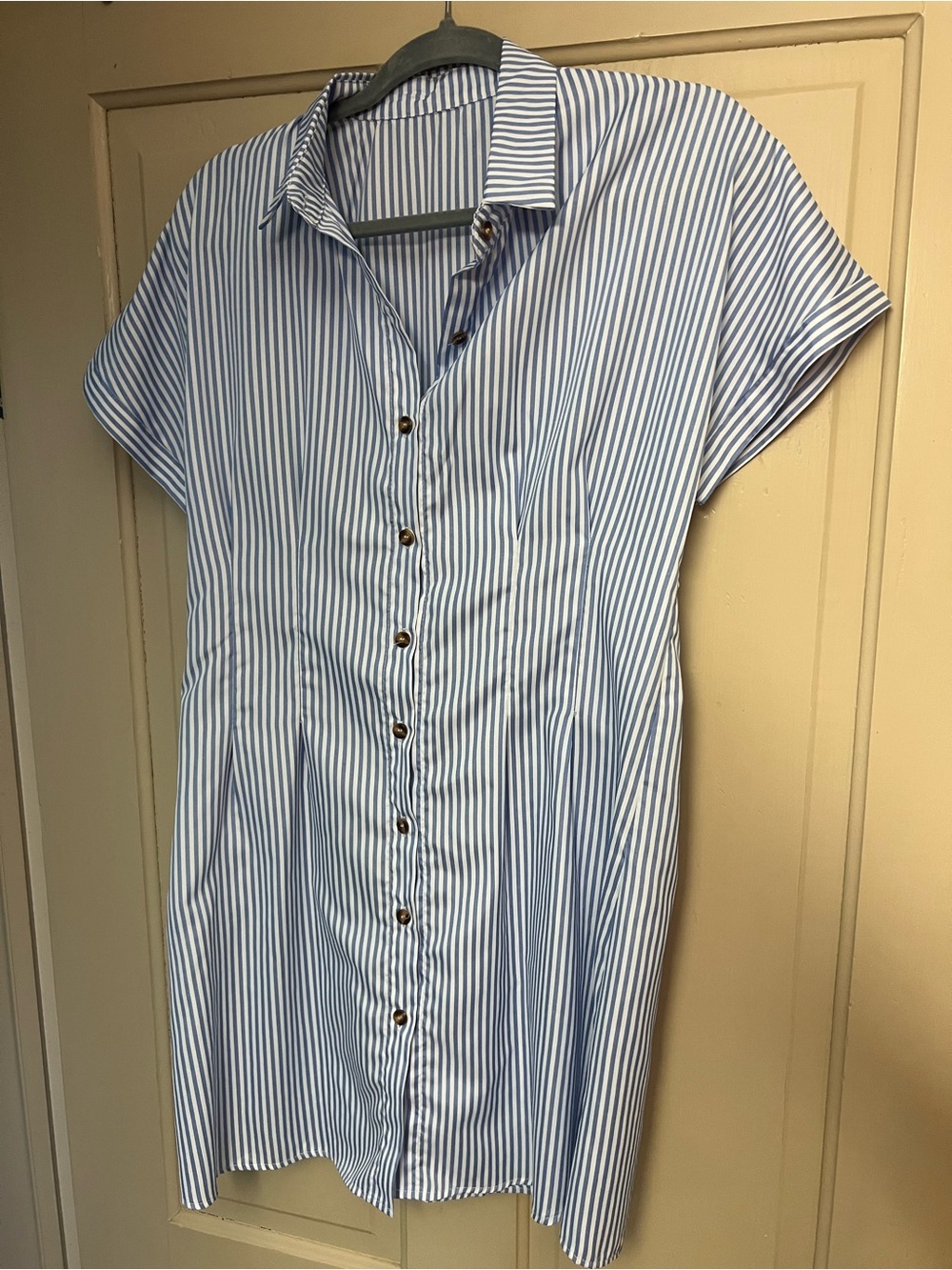 Blue and White Striped Button-Front Shirt Dress